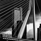 The Swan bridge Rotterdam